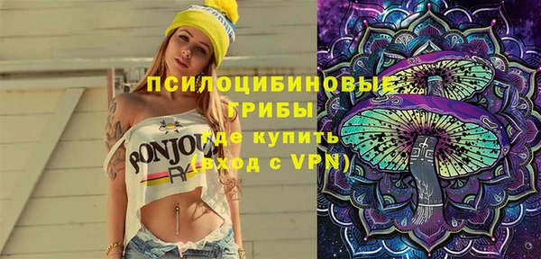прущие грибы Кулебаки