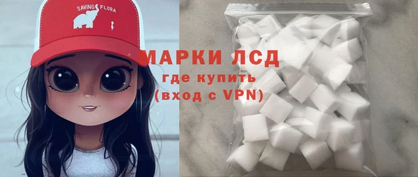 прущие грибы Кулебаки
