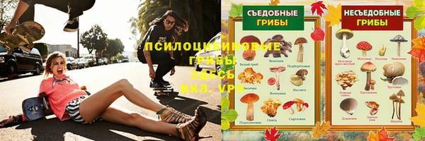 прущие грибы Кулебаки