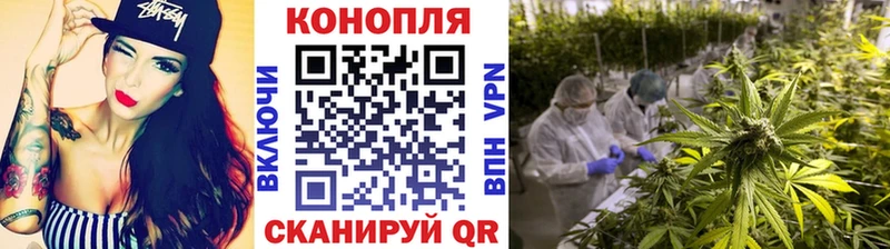 Купить закладки  Кстово  Бошки марихуана тримм 